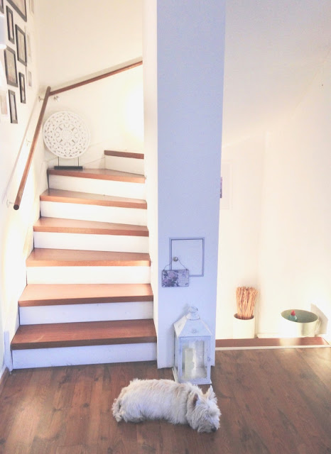 {"deviceangle": 0.02659531}