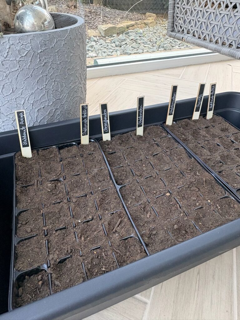 Living Letter Blog Glücksmomente 02/26