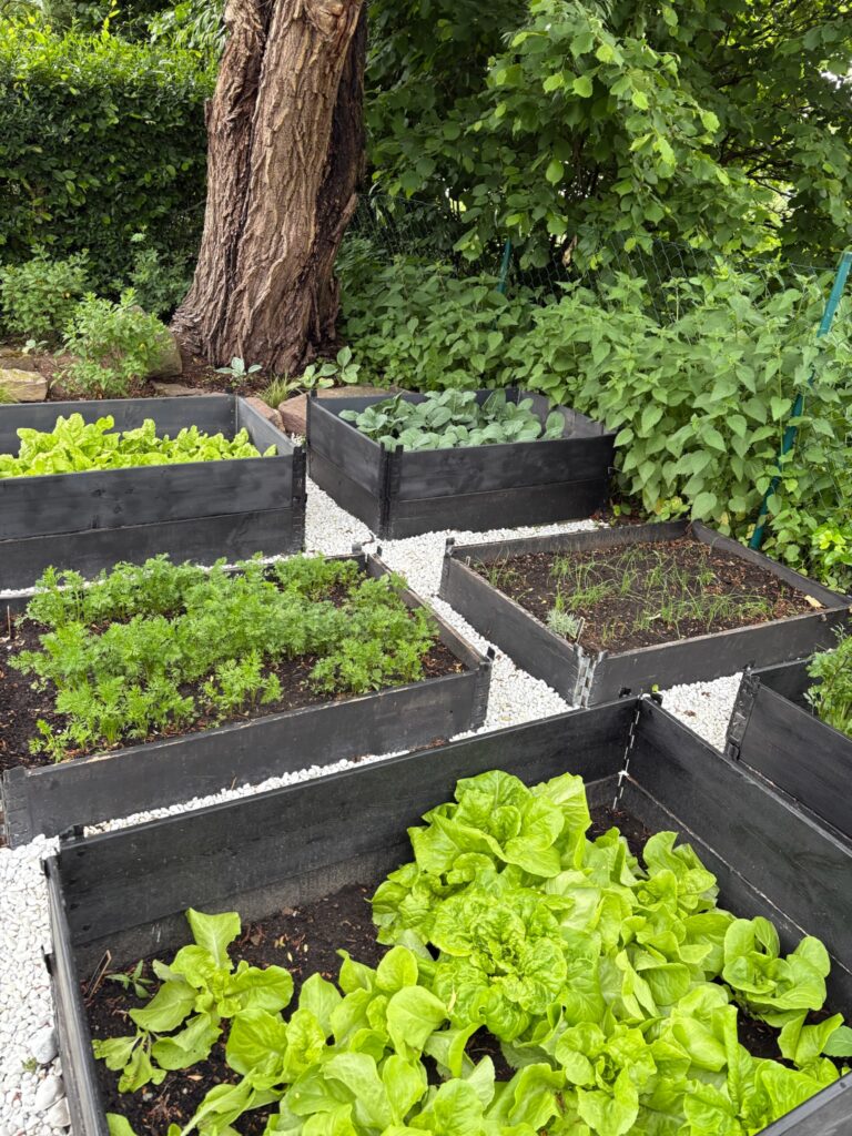 Living Letter Blog Glücksmomente