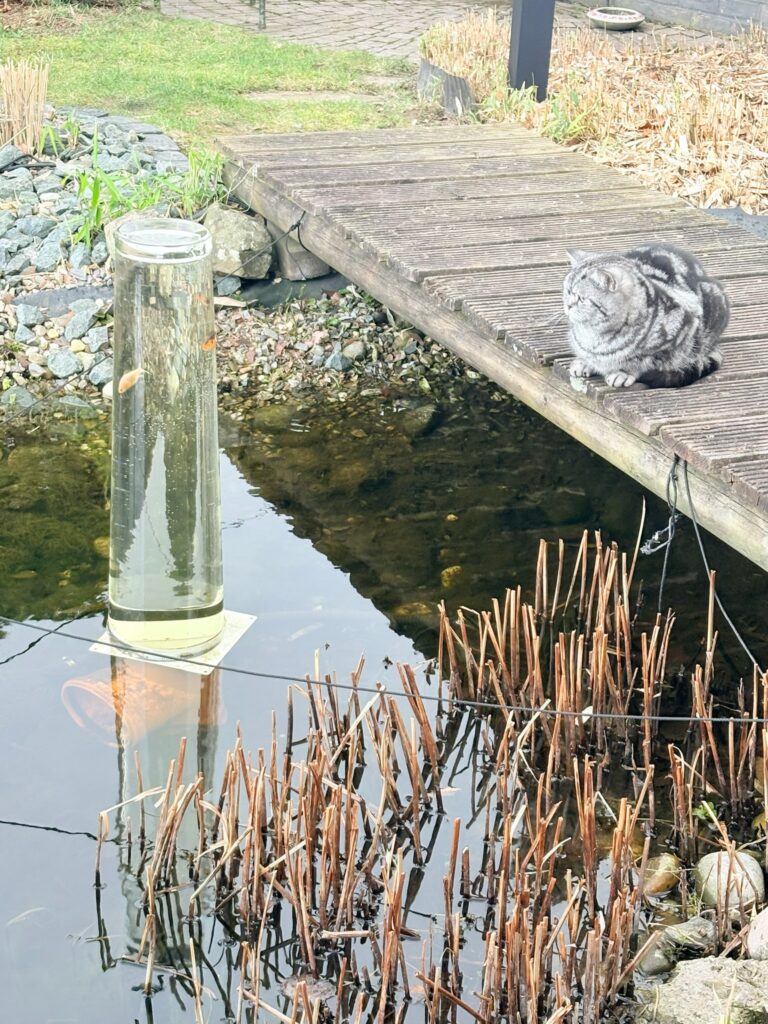 DIY: Aussichtsturm für Fische im Teich
