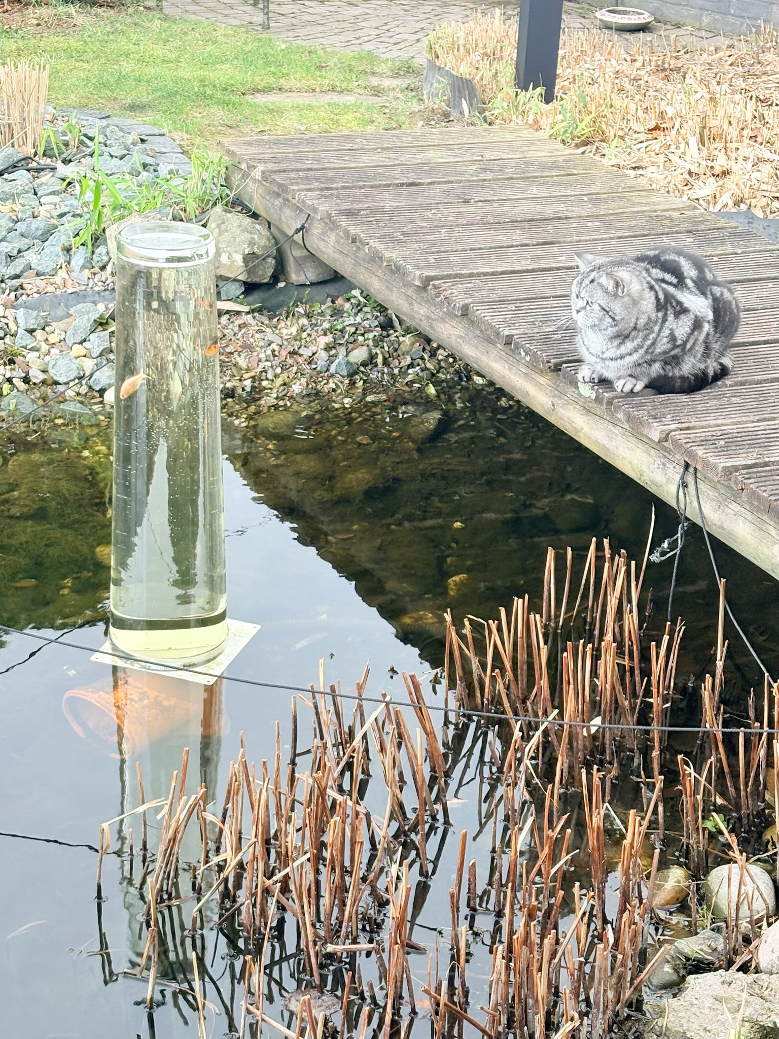 DIY: Aussichtsturm für Fische im Teich
